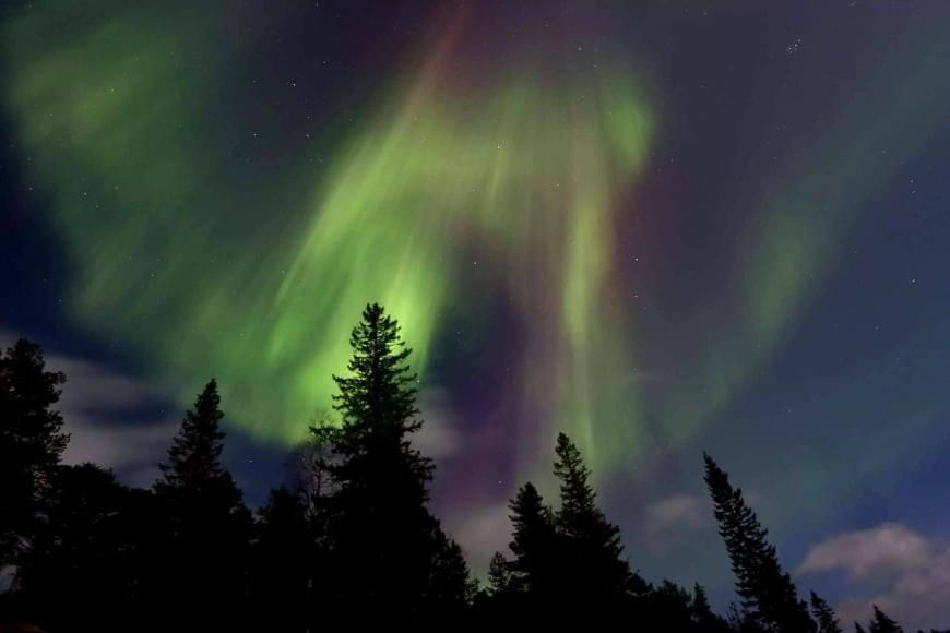 Graceland Norway Foldereid Εξωτερικό φωτογραφία